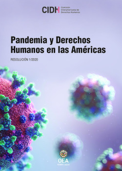 Pandemia y Derechos Humanos en las Amricas