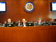 Consejo Permanente de la OEA en Sesin Especial el 7 de noviembre de 2012